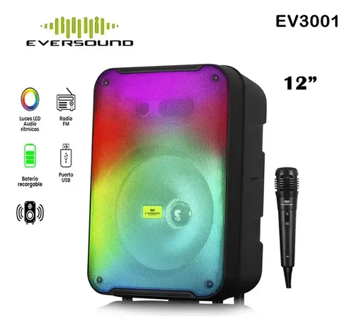 EVERSOUND EV 3001 FLAMING 12
